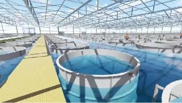 四川玻璃钢养鱼池水产养殖系统 - 桥水科技